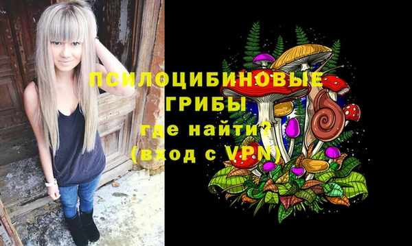 дурь Армянск