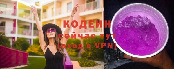 спиды Арсеньев
