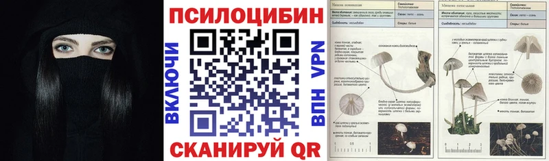 hydra зеркало  Краснодар  Галлюциногенные грибы Cubensis  наркота 